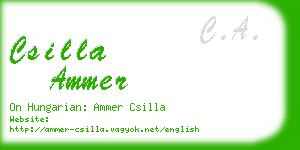 csilla ammer business card